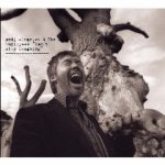 Andi Almqvist - Can't Stop Laughing