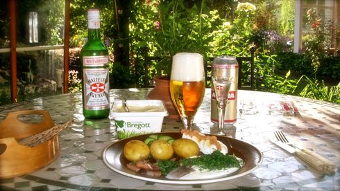 Matjessill 2009, Holger Ellgaard