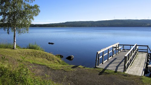 Sjöändan, 2012-07-30